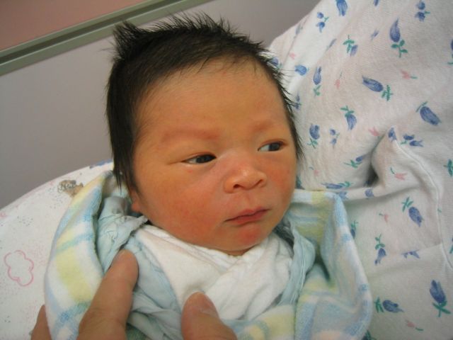 614x454 pixels (44K)